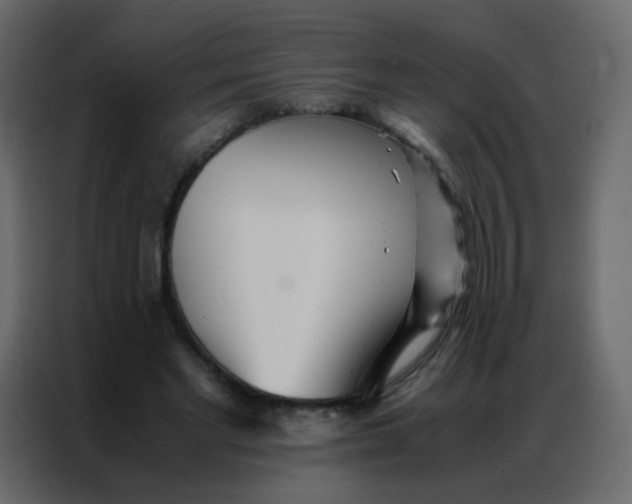 X0000086790493200705041551