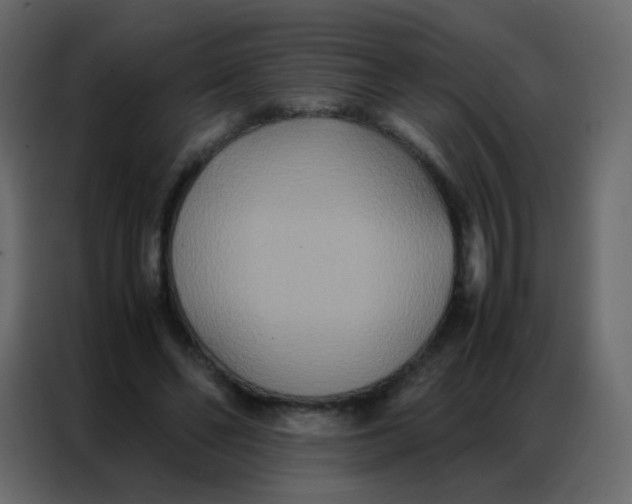 X0000086790494200705041551