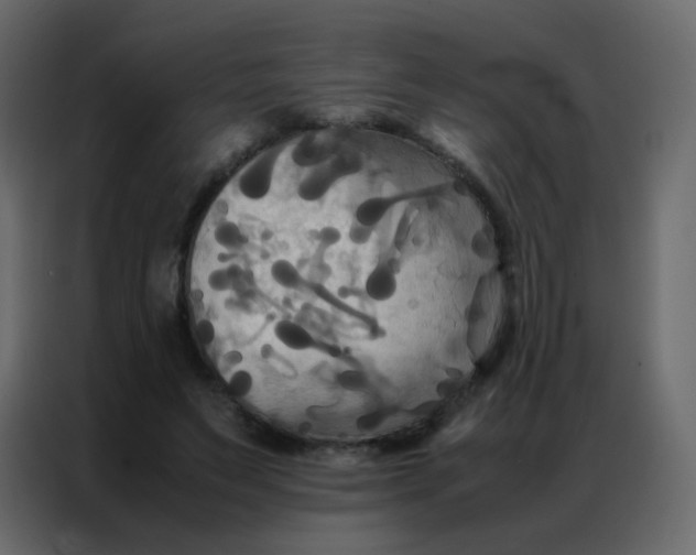 X0000086790495200705041551