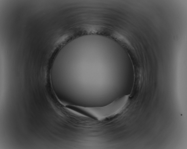 X0000086790496200705041551