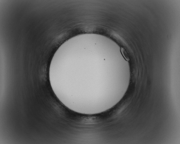 X0000086790497200705041551