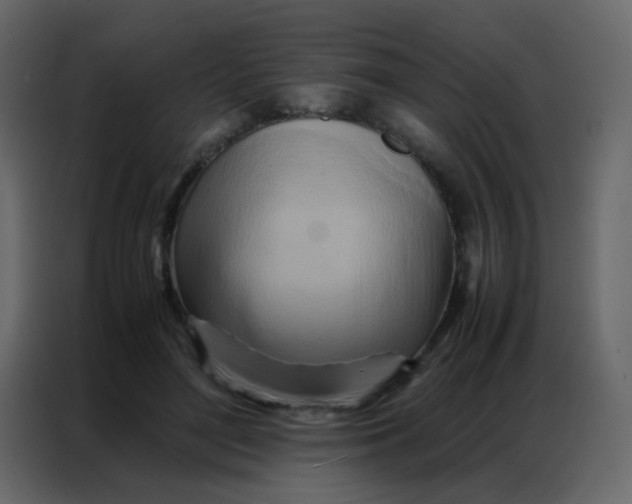 X0000086790500200705041551