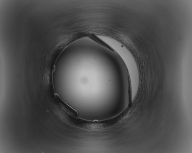 X0000086790501200705041551