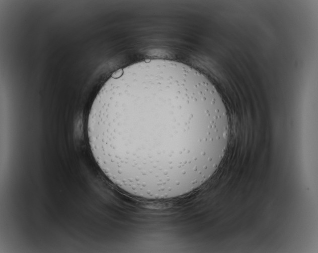 X0000086790502200705041551