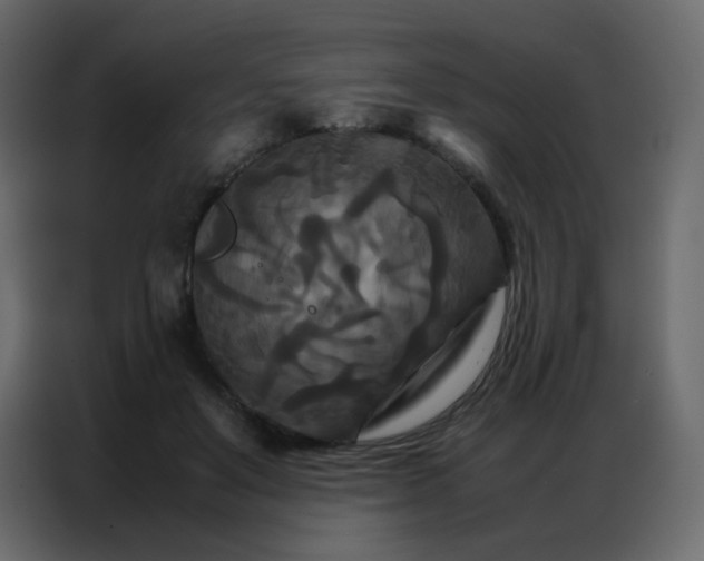 X0000086790503200705041551