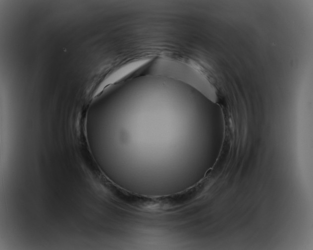 X0000086790504200705041551