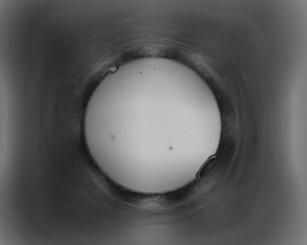 X0000086790505200705041551