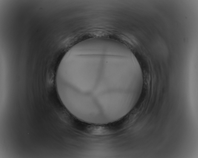 X0000086790507200705041551