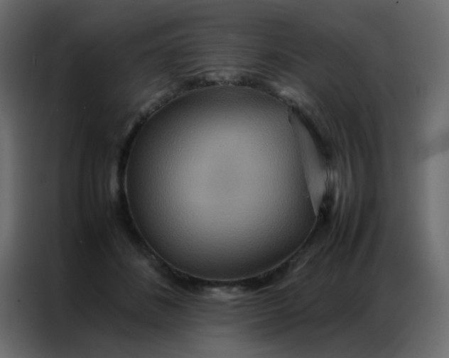 X0000086790508200705041551