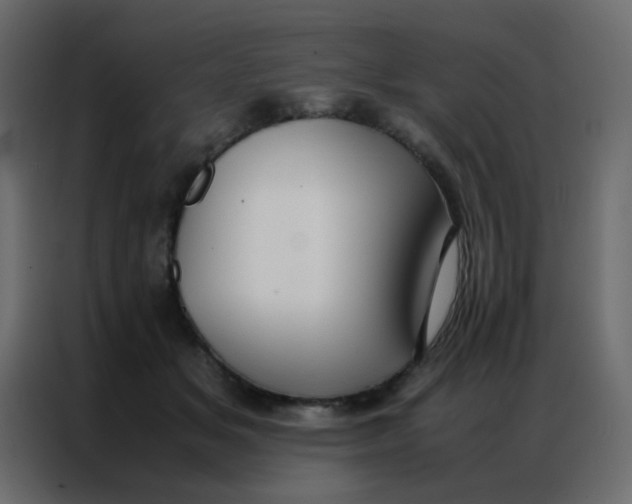 X0000086790509200705041551