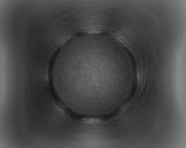 X0000086790512200705041551