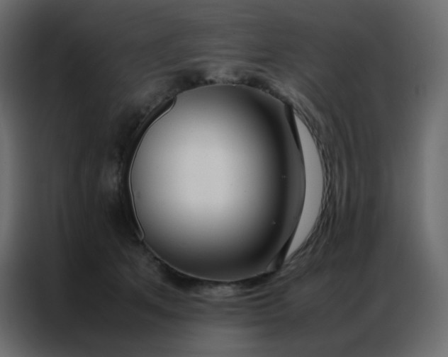 X0000086790513200705041551