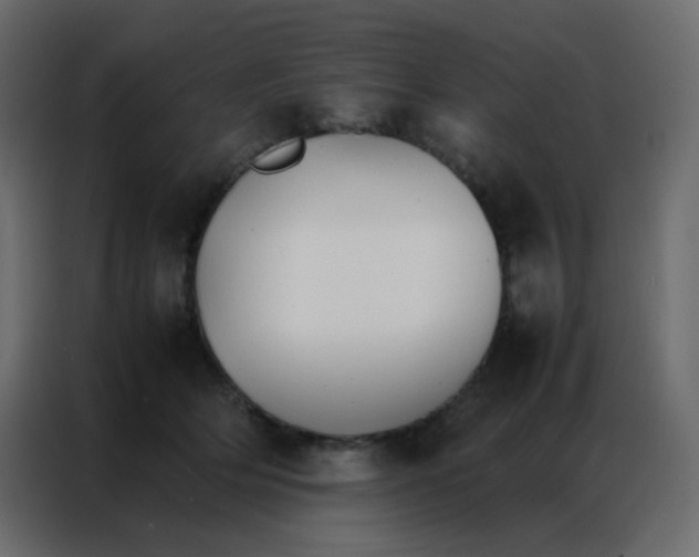 X0000086790514200705041551