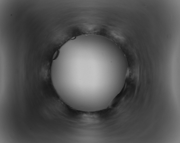 X0000086790515200705041551