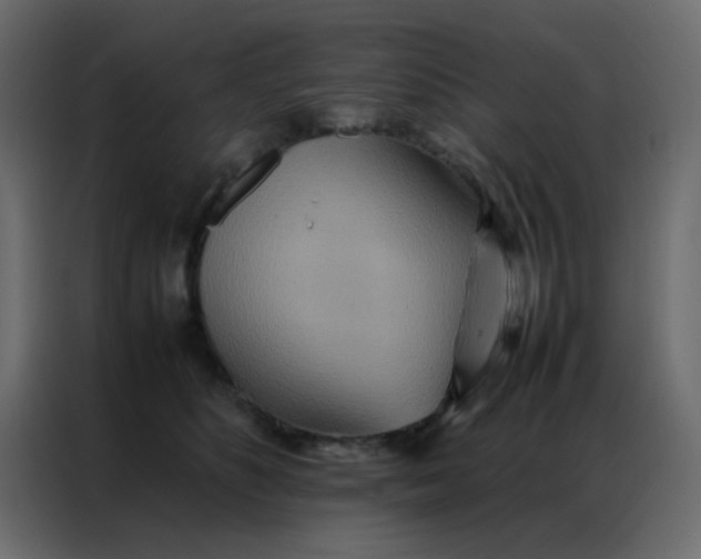 X0000086790516200705041551