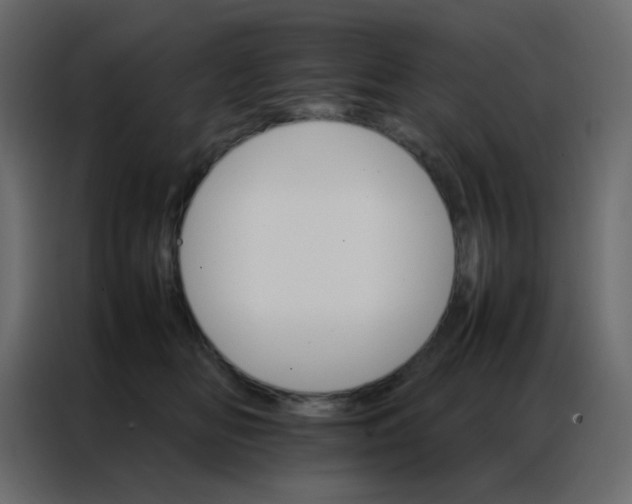 X0000086790518200705041551