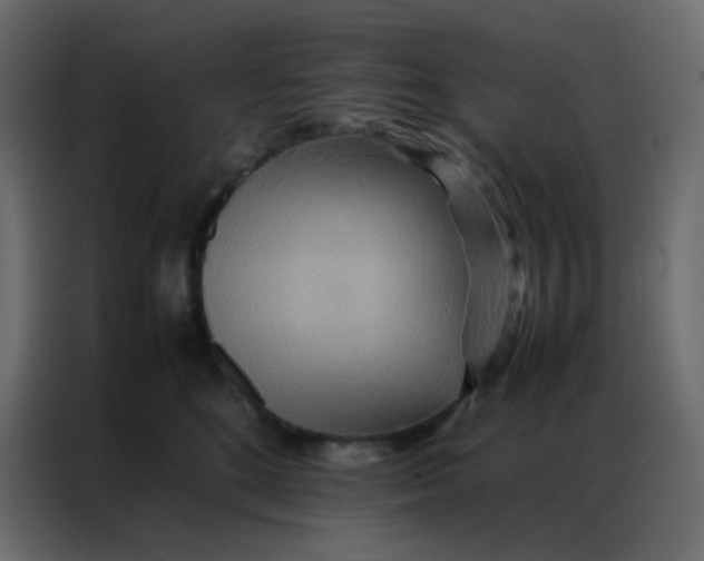 X0000086790520200705041551