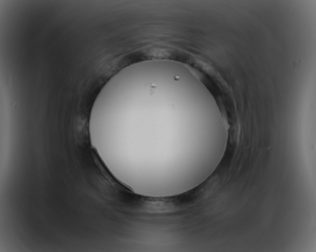 X0000086790521200705041551