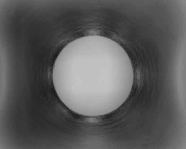 X0000086790522200705041551