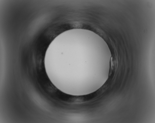 X0000086790525200705041551