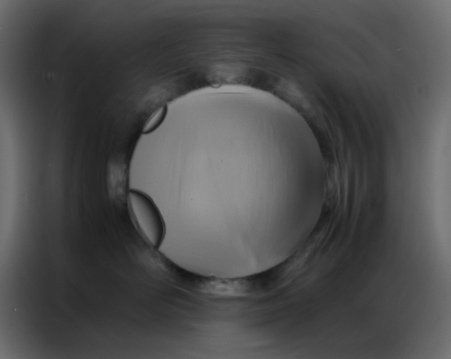 X0000086790526200705041551