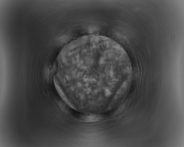 X0000086790527200705041551