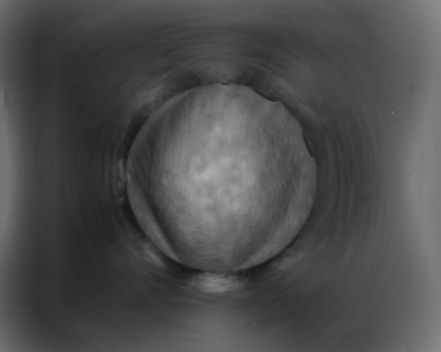 X0000086790528200705041551