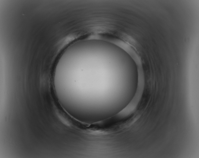 X0000086790530200705041550