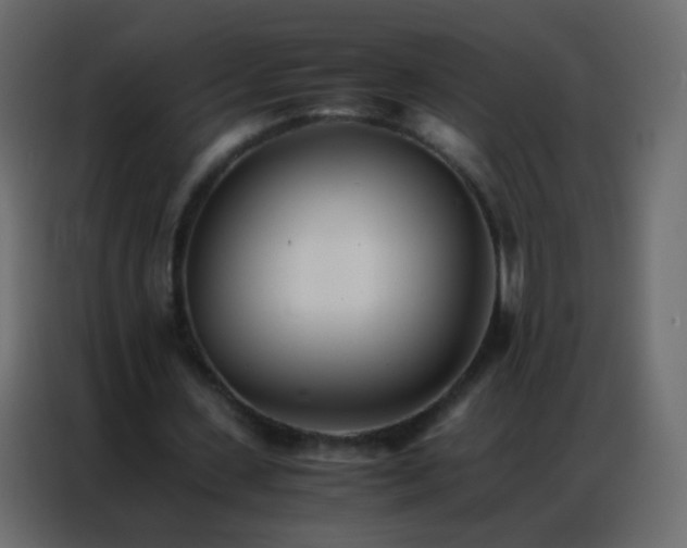 X0000086790531200705041550