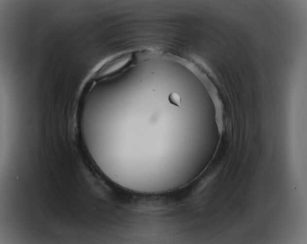 X0000086790532200705041550