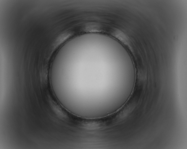 X0000086790533200705041550