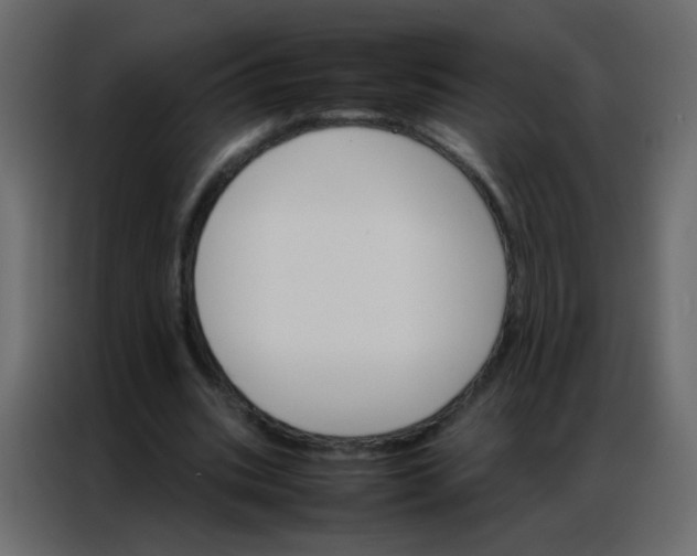 X0000086790535200705041550