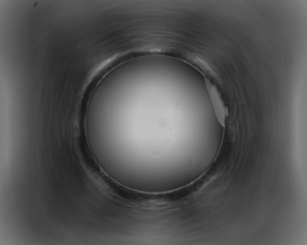 X0000086790536200705041550