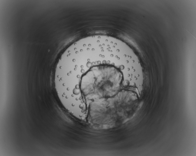 X0000086790537200705041550