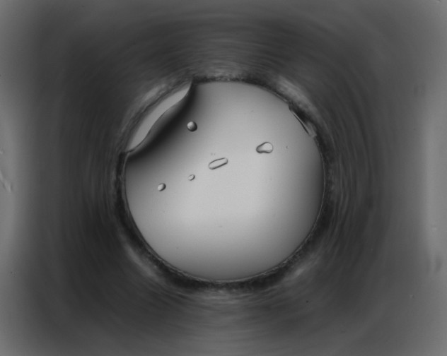 X0000086790538200705041550