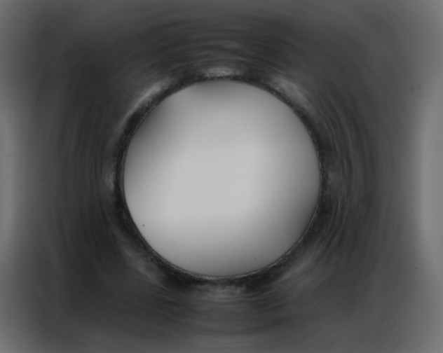 X0000086790539200705041550