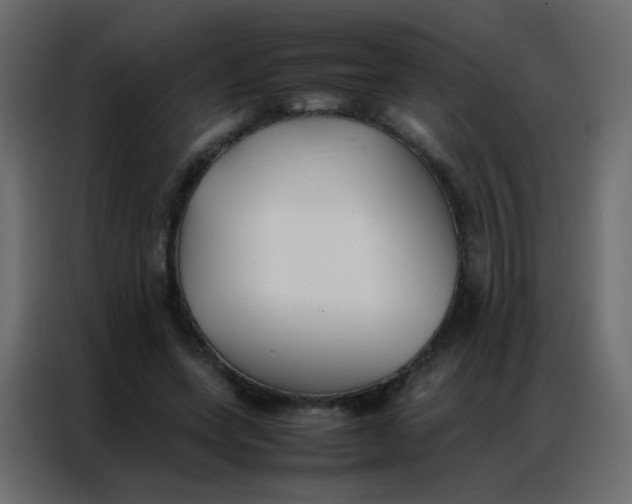 X0000086790543200705041550