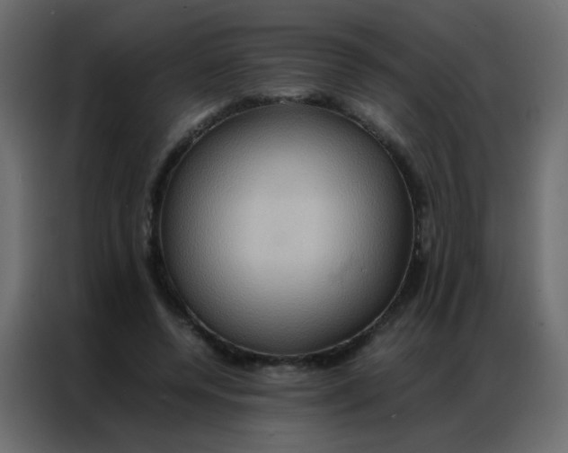 X0000086790544200705041550