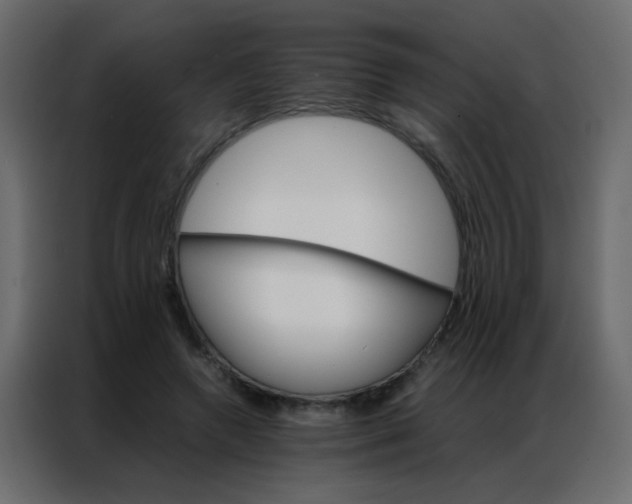 X0000086790546200705041550