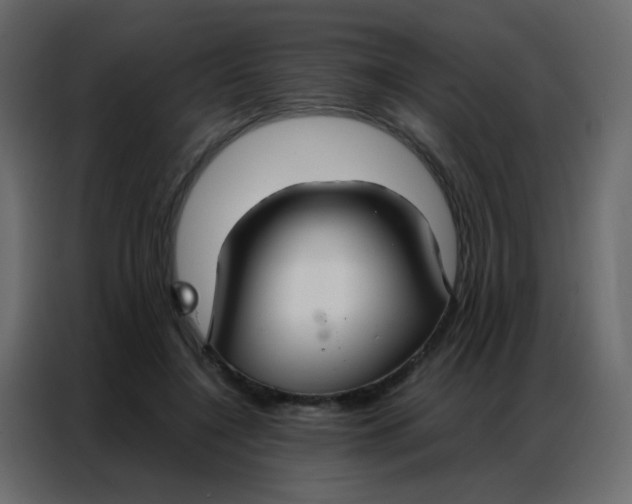 X0000086790548200705041550