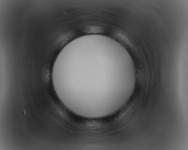 X0000086790549200705041550