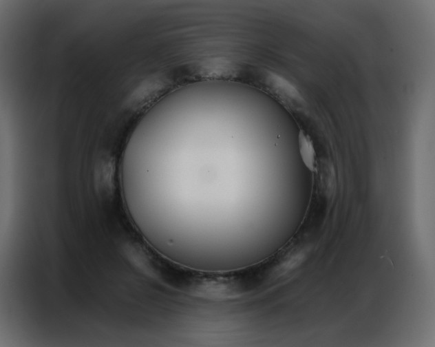 X0000086790550200705041550