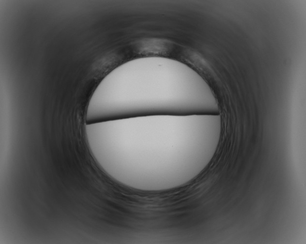 X0000086790551200705041550