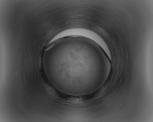 X0000086790552200705041550