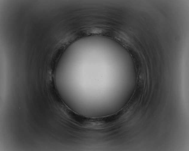 X0000086790555200705041550