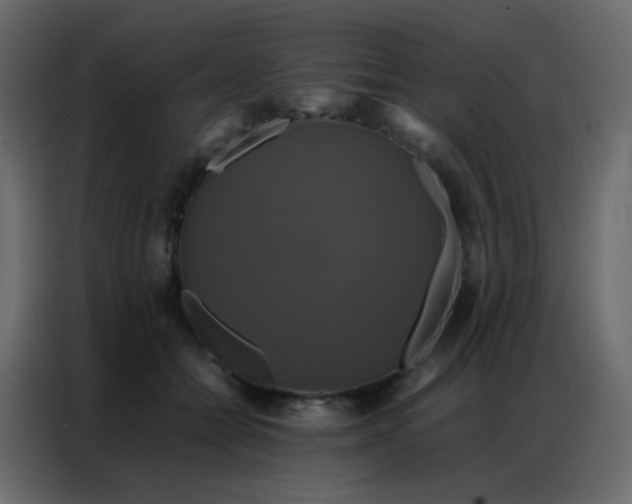 X0000086790558200705041550