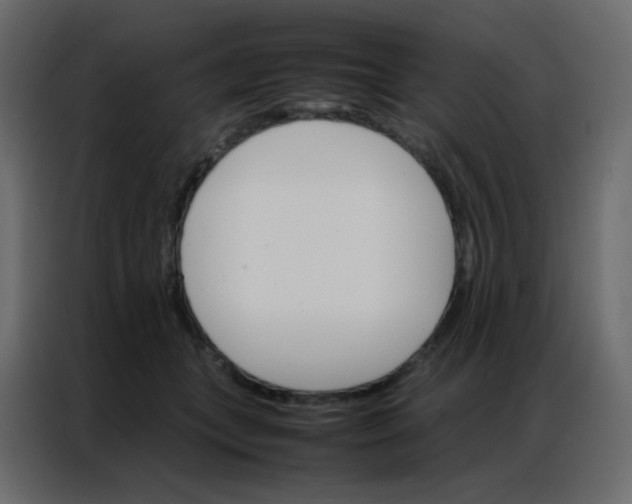 X0000086790559200705041550