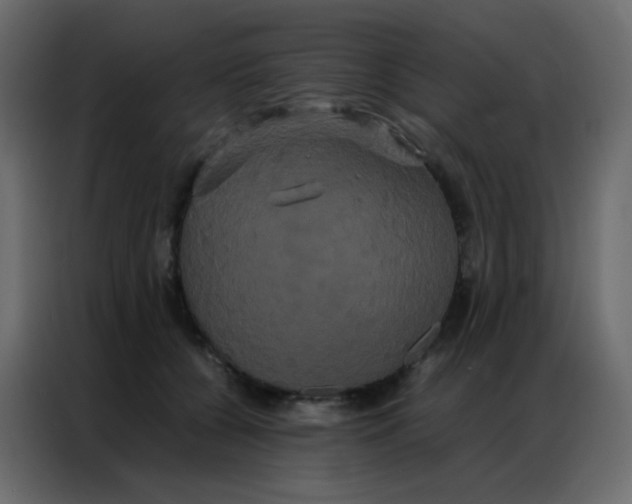 X0000086790560200705041550