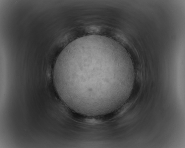 X0000086790561200705041550