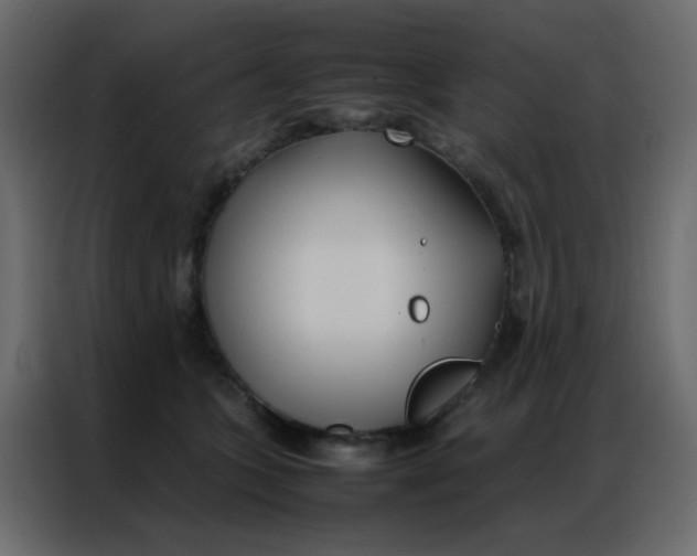 X0000086790563200705041550